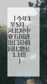 今年1至5月，河北对中亚五国进出口总值同比增长1.1倍